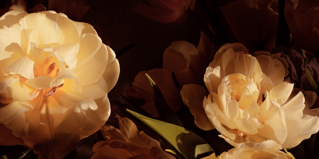 floral / oriental
