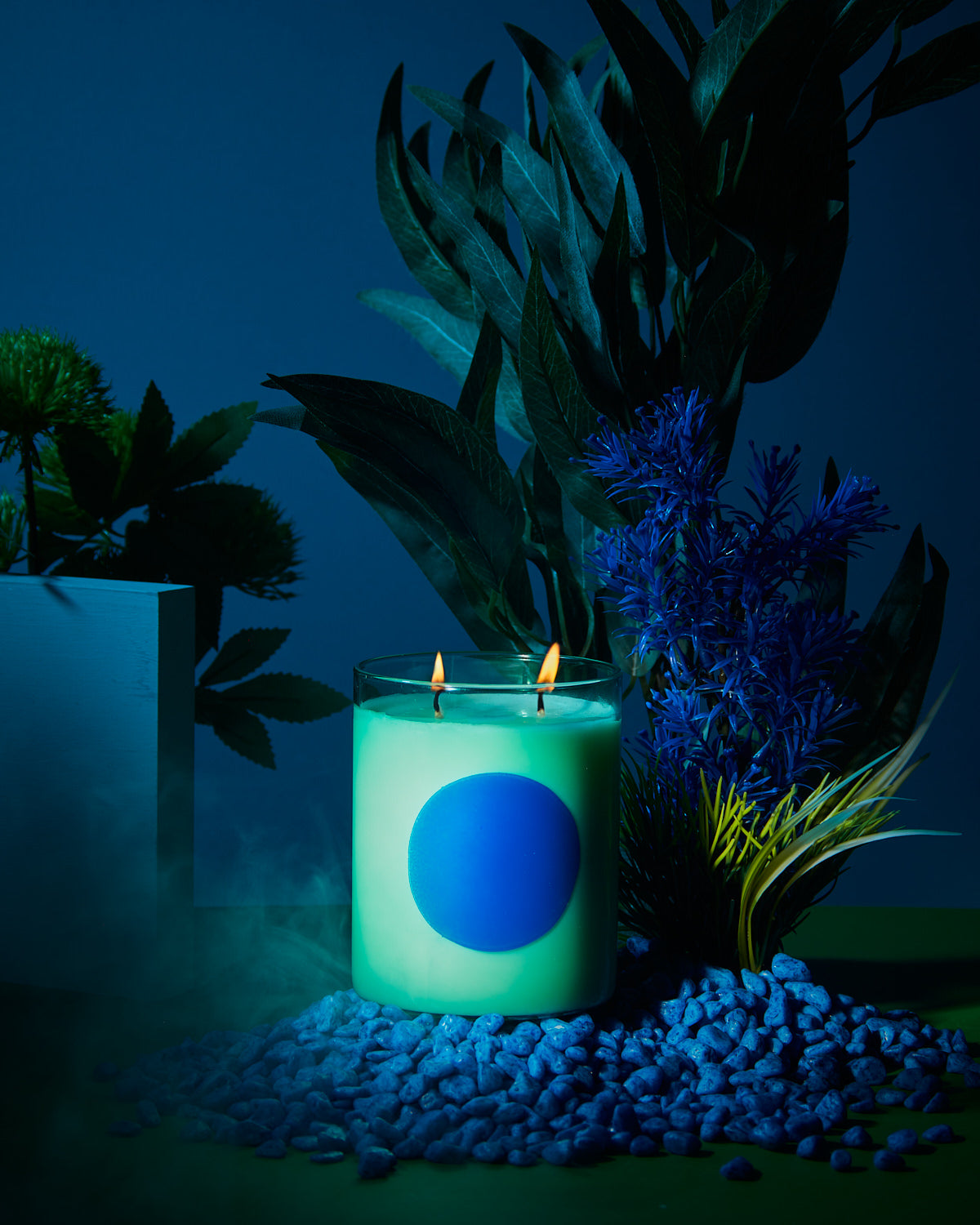 disco candle | basil + sweet lime.